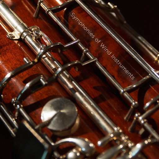 大鸡巴外国特级做爱视频免费观看
